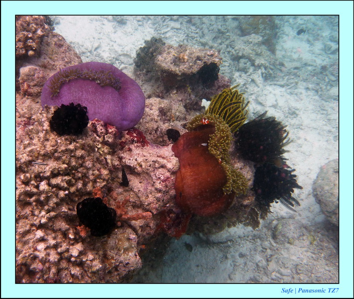 2009   07   Matakin 25